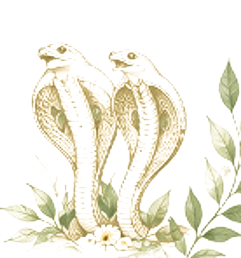 Nagathara twin serpent sketch